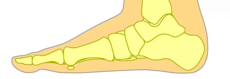 shutterstock_434097025-Converted-1024x352