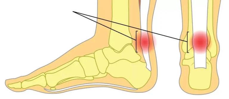 shutterstock_444754465-1024x444